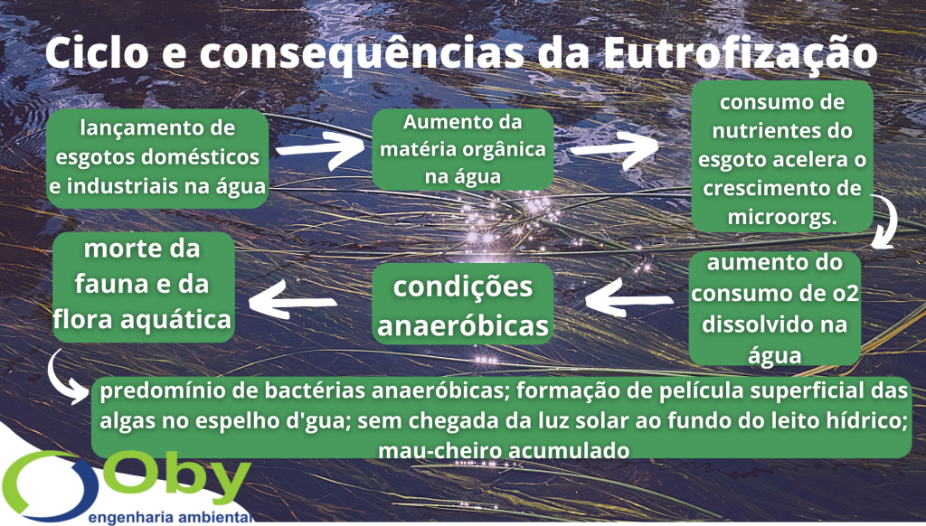 ciclo eutrofização demonstrando as causas da DBO