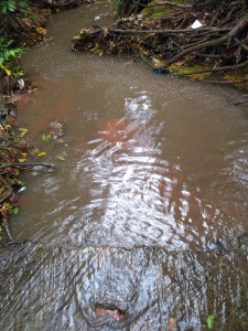 leito hídrico e análise de DQO